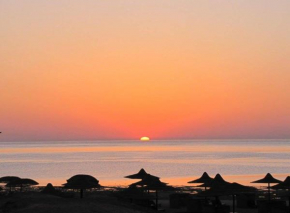 Estudio, Playa de Denia